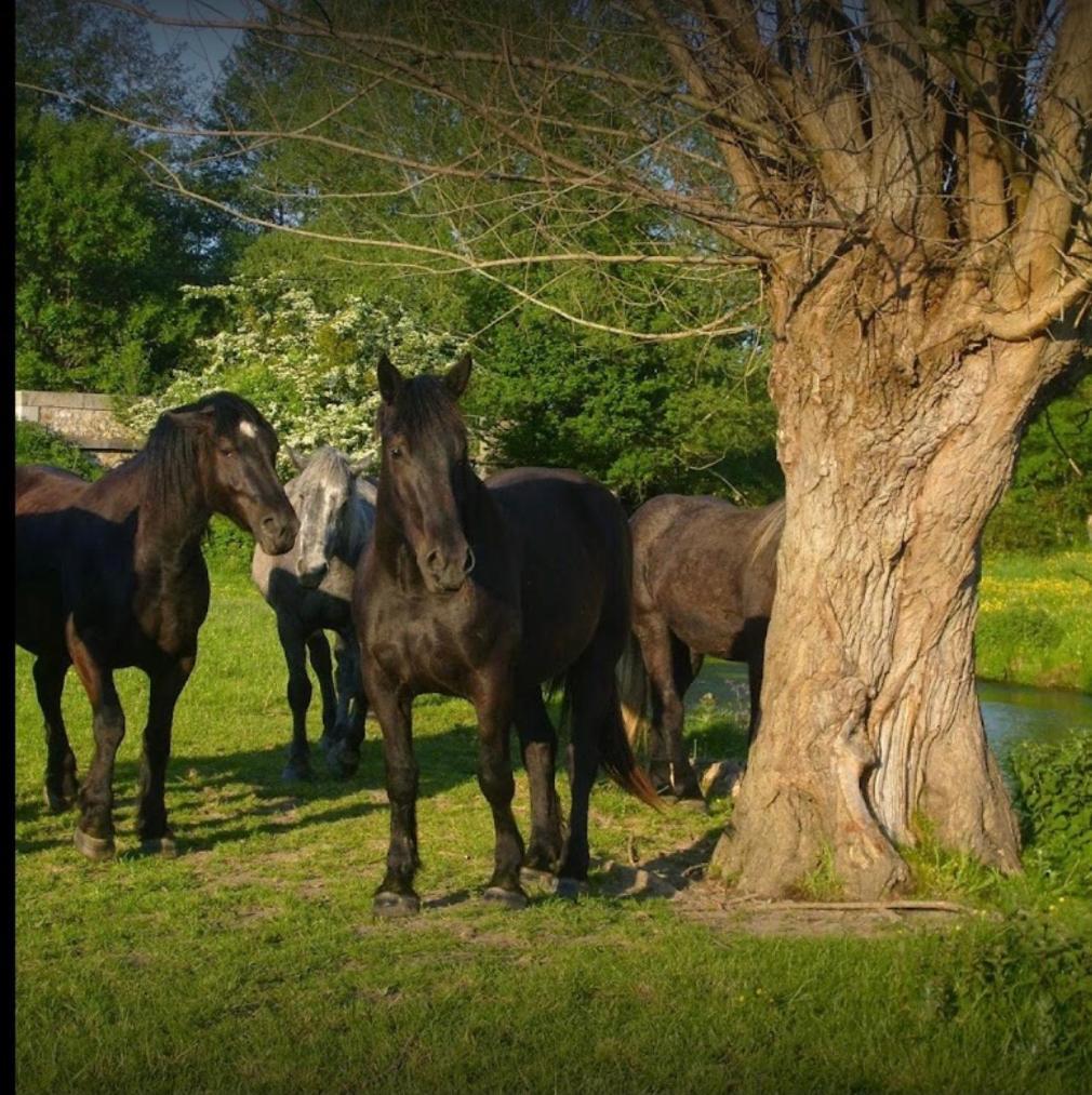 Villa La Meunière Jouy  Esterno foto